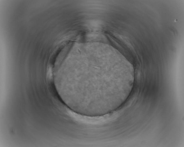 X0000113180042200910021552