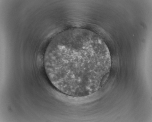X0000113180043200910021552