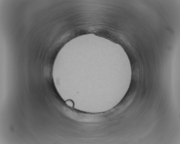 X0000113180044200910021552