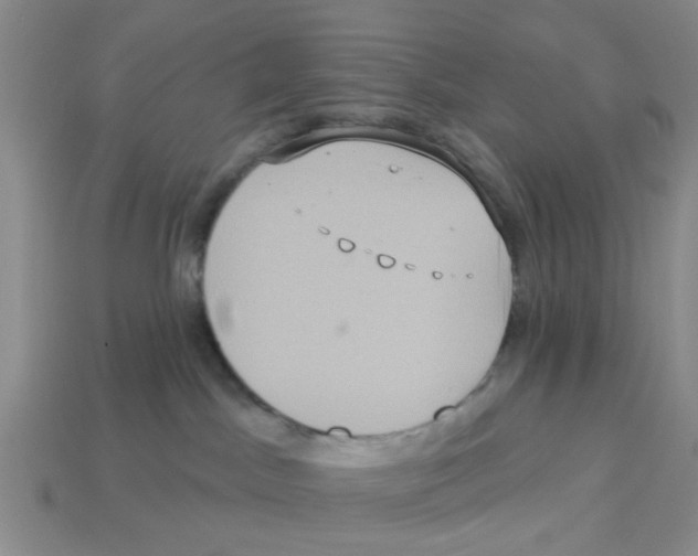 X0000113180045200910021552