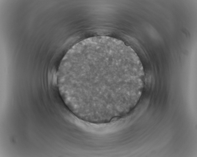 X0000113180046200910021552