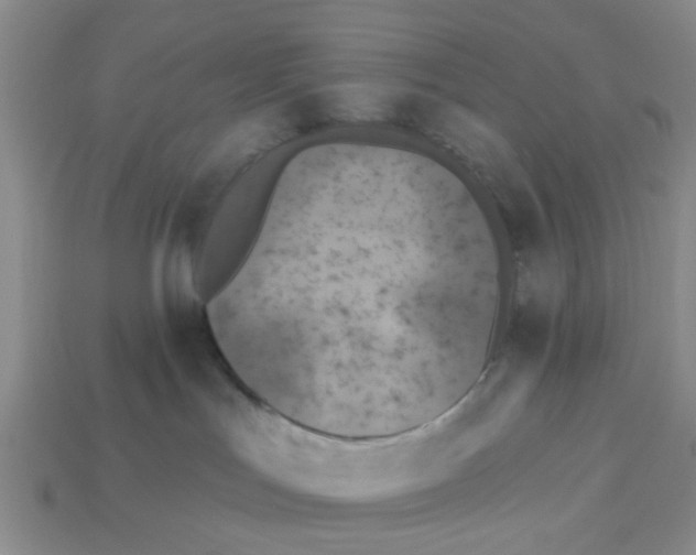 X0000113180047200910021552