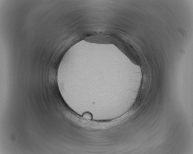 X0000113180048200910021552