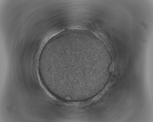 X0000113180049200910021551