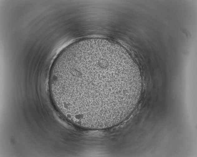 X0000113180050200910021551