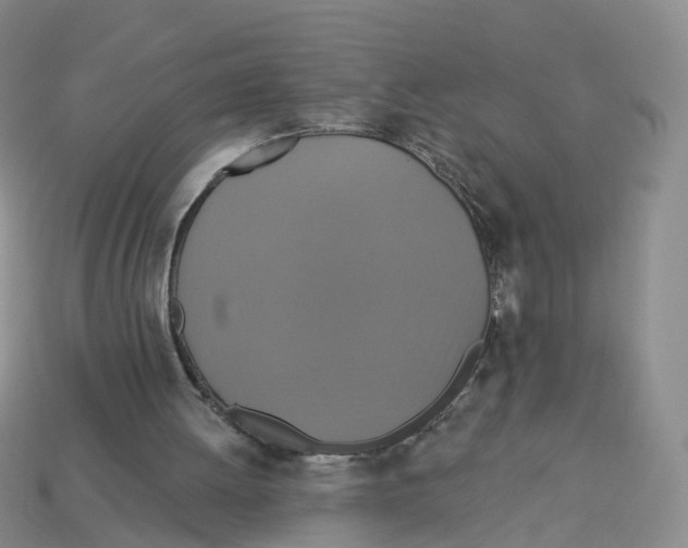 X0000113180052200910021551