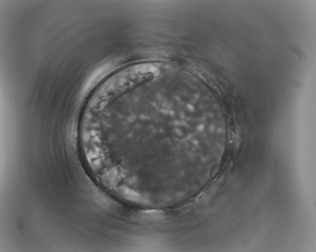 X0000113180053200910021551