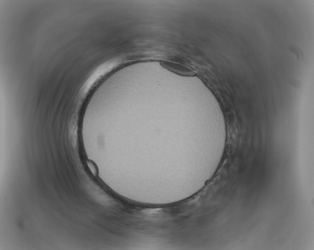 X0000113180054200910021551