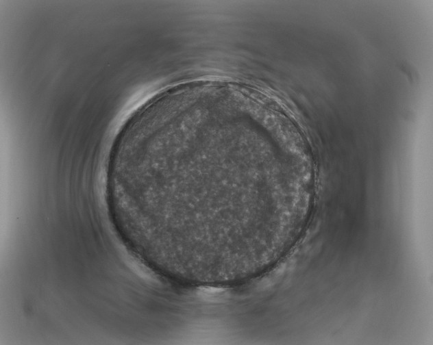 X0000113180055200910021551