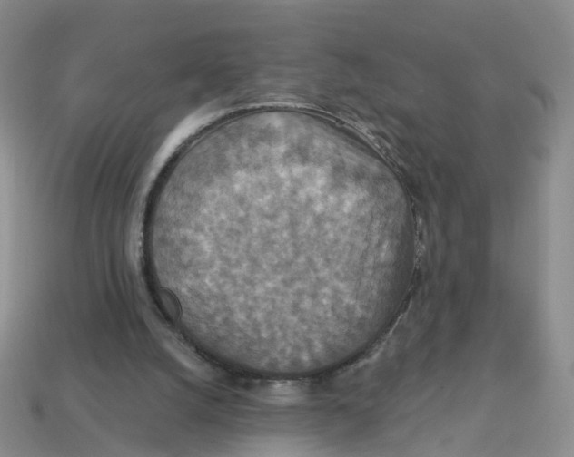 X0000113180056200910021551