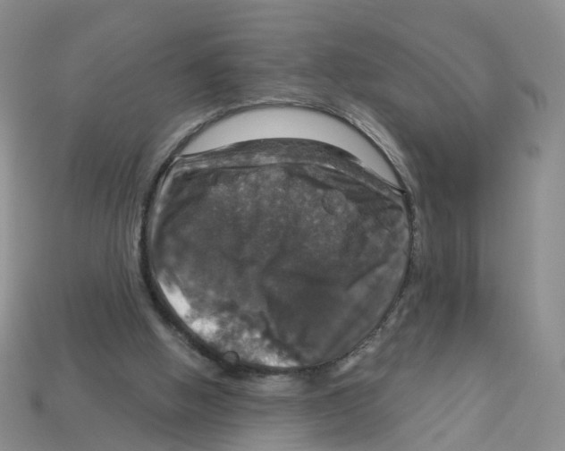 X0000113180058200910021551