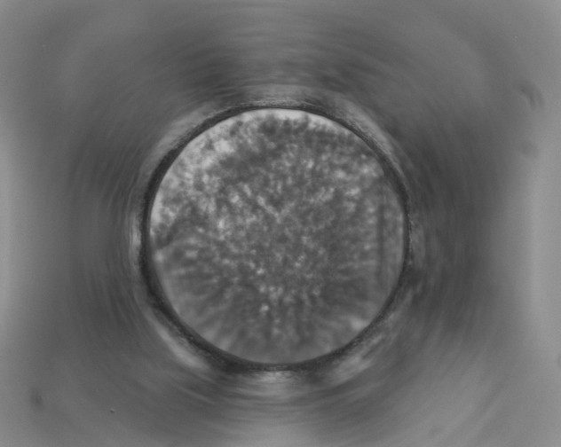 X0000113180059200910021551