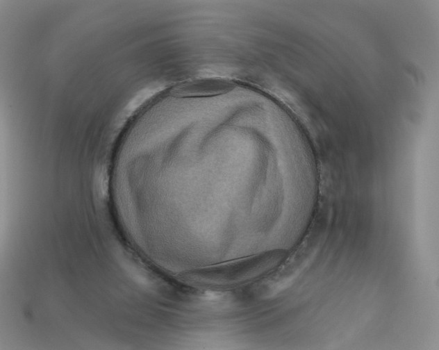 X0000113180060200910021551