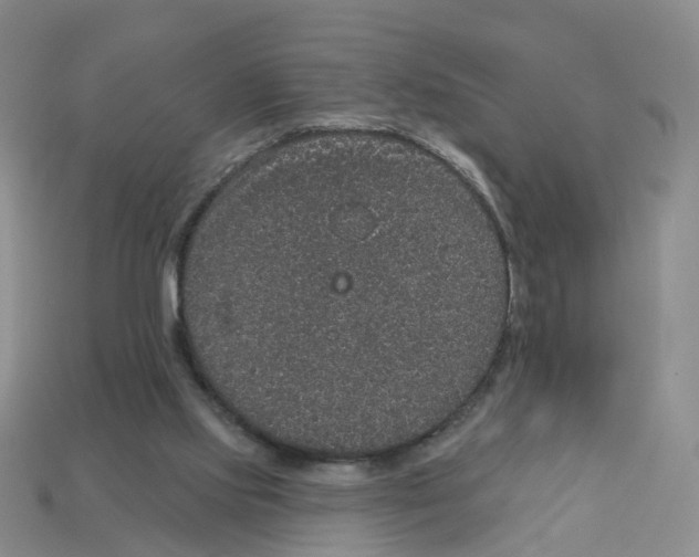 X0000113180061200910021551