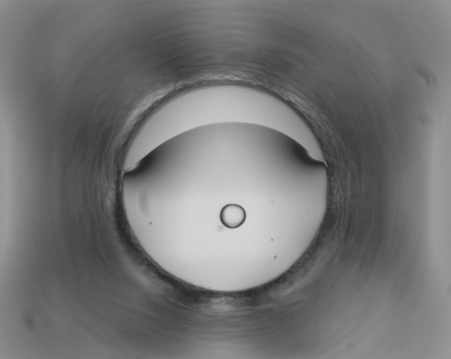 X0000113180064200910021551