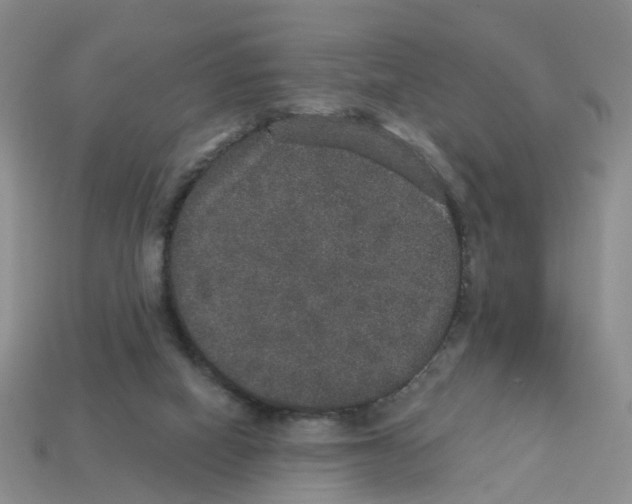 X0000113180066200910021552