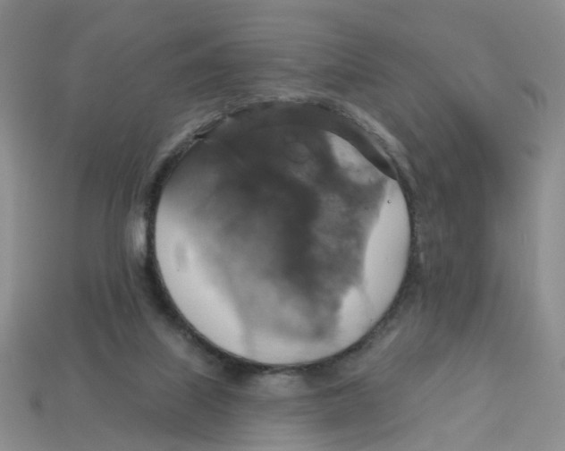 X0000113180067200910021552