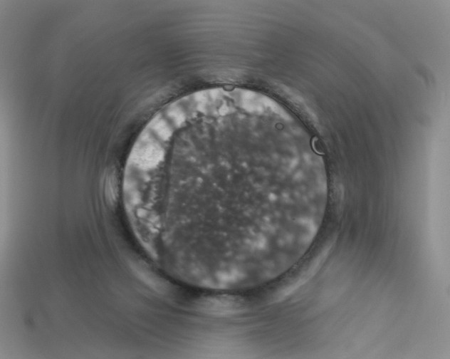 X0000113180069200910021552