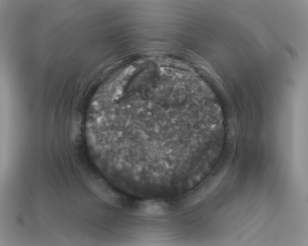X0000113180073200910021552