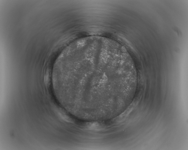 X0000113180074200910021552