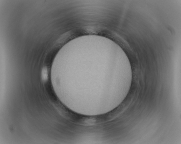 X0000113180075200910021552