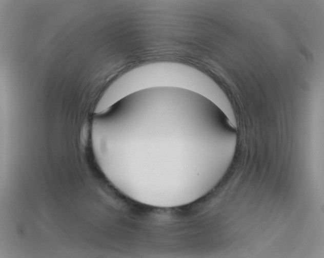 X0000113180076200910021552