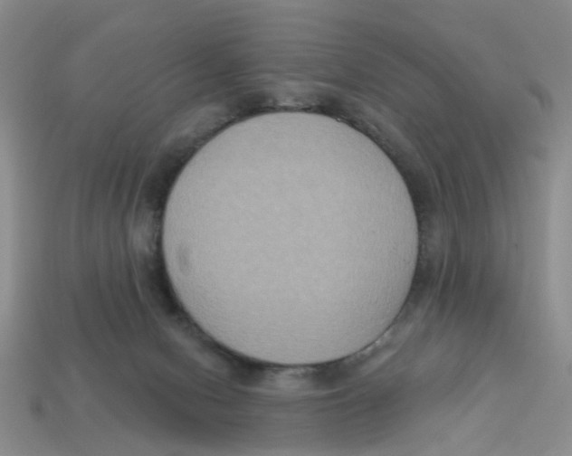 X0000113180078200910021552