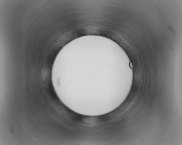 X0000113180079200910021552