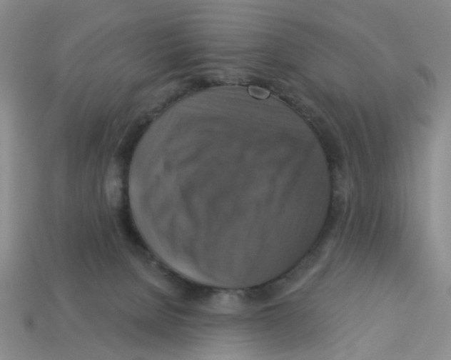 X0000113180080200910021552