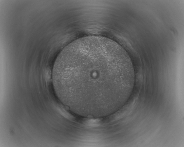 X0000113180081200910021552