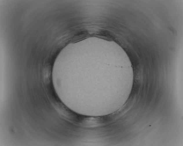 X0000113180082200910021552