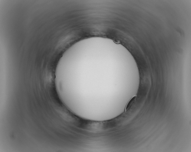 X0000113180084200910021552