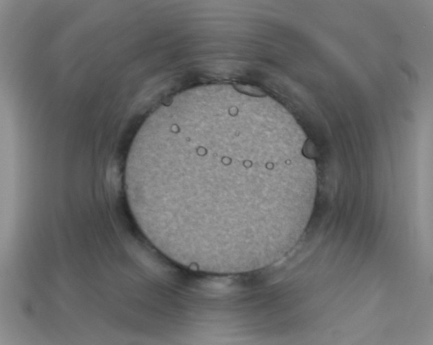 X0000113180086200910021552