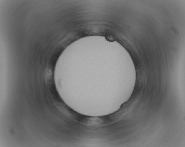X0000113180087200910021552
