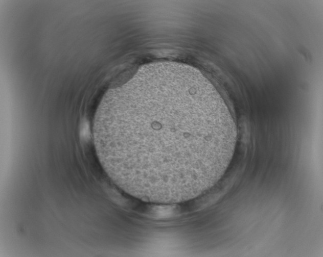 X0000113180089200910021552