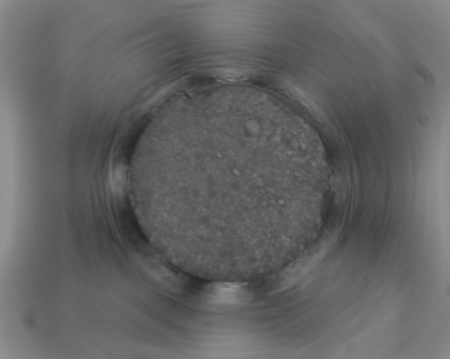 X0000113180093200910021552