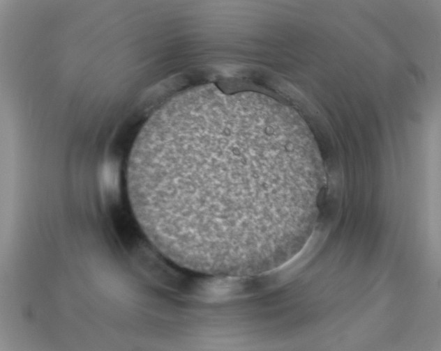 X0000113180094200910021552