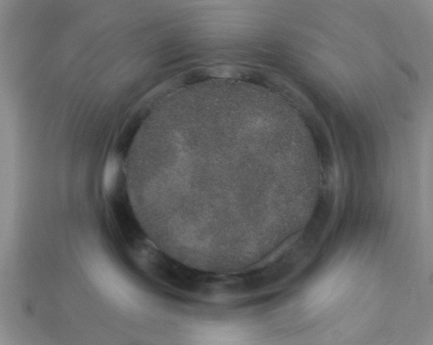 X0000113180095200910021552