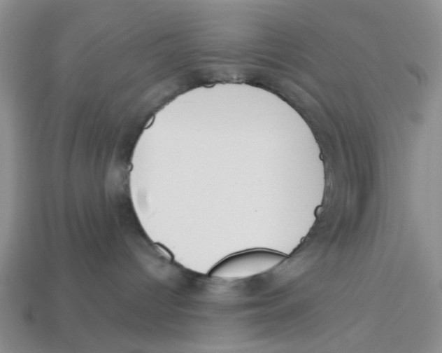 X0000113180096200910021552