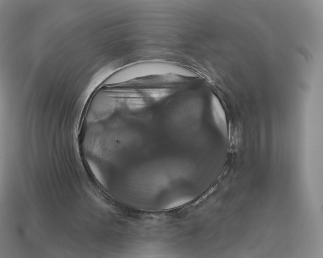 X0000113180099200910021551
