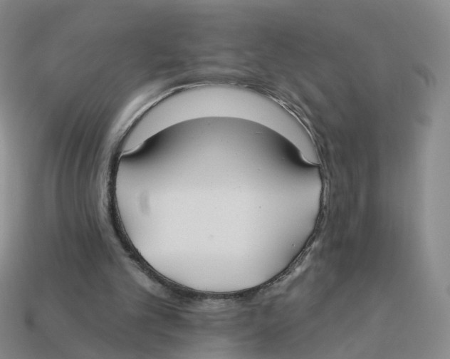 X0000113180101200910021551