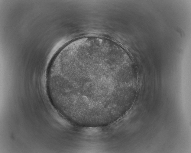 X0000113180102200910021551