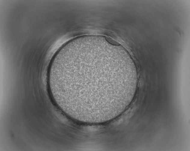 X0000113180103200910021551