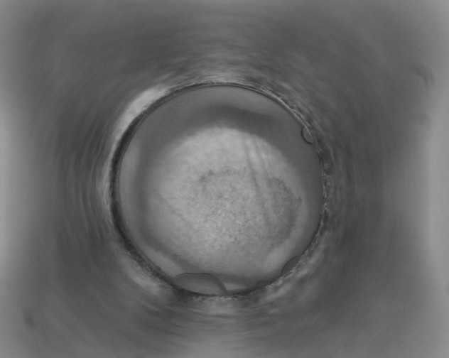 X0000113180104200910021551