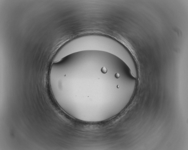 X0000113180105200910021551