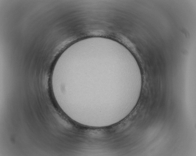 X0000113180106200910021551