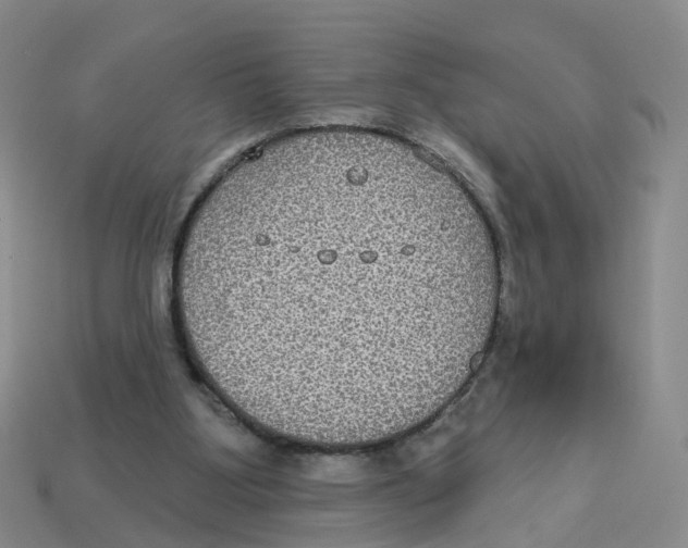 X0000113180107200910021551