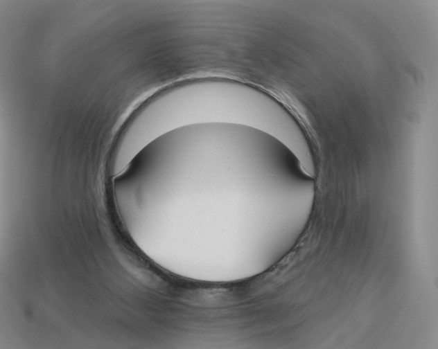 X0000113180108200910021551