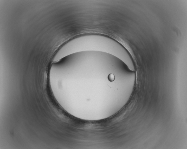 X0000113180109200910021551