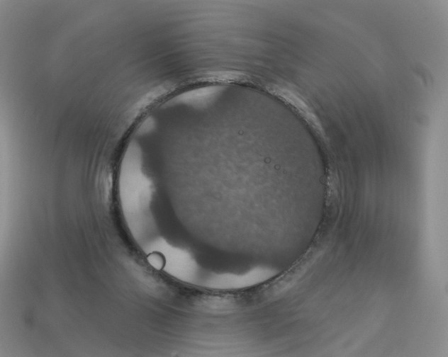 X0000113180110200910021551